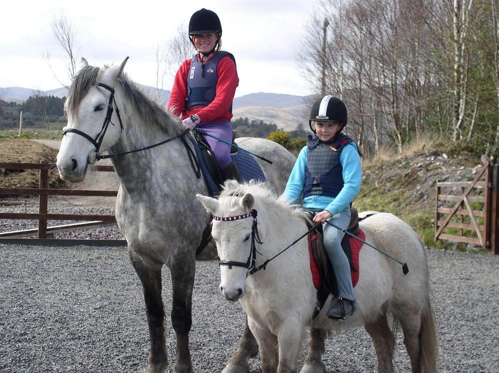 Eclipse Holiday Homes & Adventure Centre Kenmare Exteriér fotografie