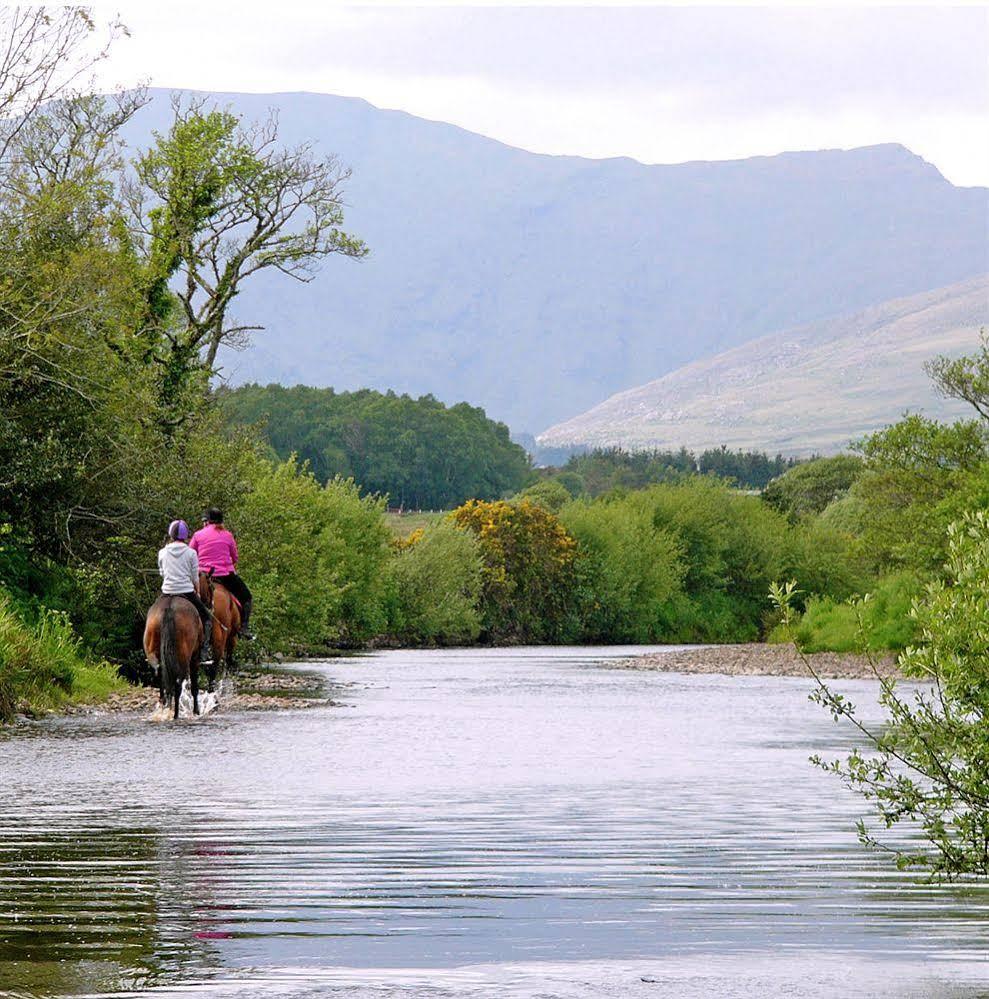 Eclipse Holiday Homes & Adventure Centre Kenmare Exteriér fotografie